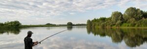 fishing in river.a fisherman with a fishing rod on the river bank. man fisherman catches a fish