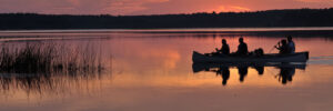 Group rowing in canoe at sunset