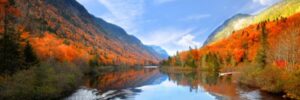 Fall foliage on the outside of a river