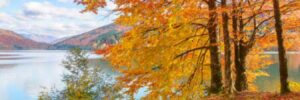 A large lake with fall foliage in the foreground