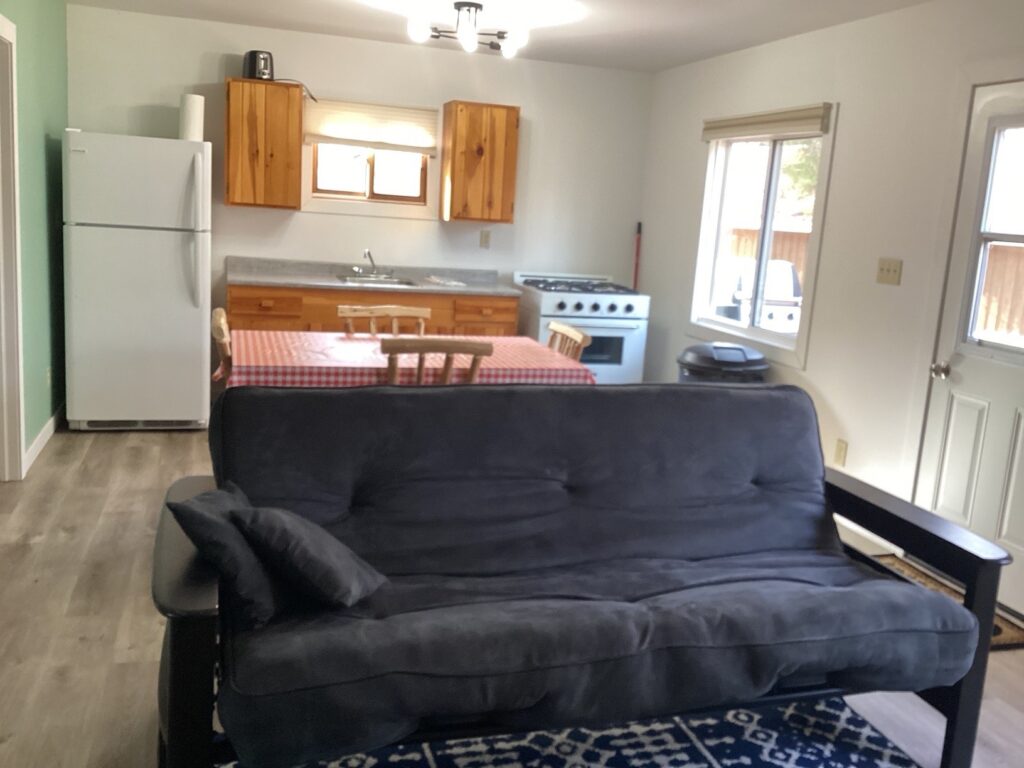 Simple living area with a black futon, a dining table with a red checkered tablecloth, and a small kitchen in the background.