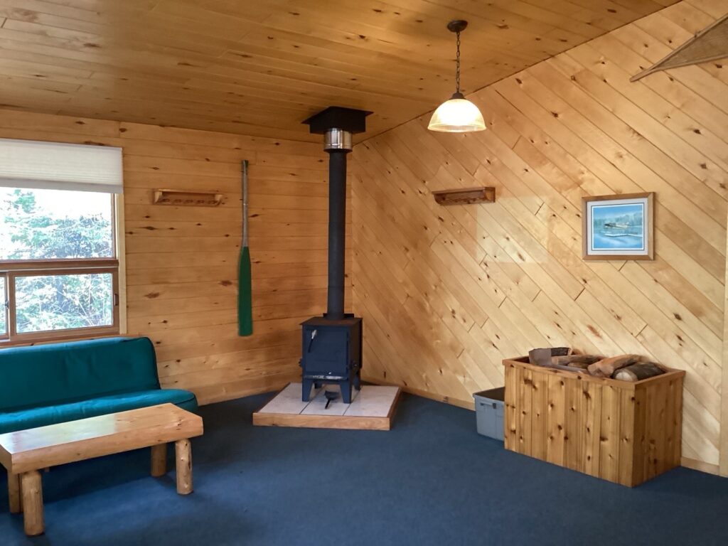 A cozy wooden room with a small stove, a green couch, a coffee table, a painting, and firewood storage under a ceiling light.